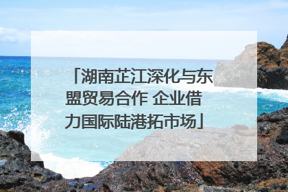 湖南芷江深化与东盟贸易合作 企业借力国际陆港拓市场