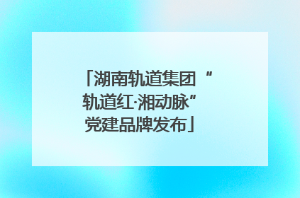 湖南轨道集团“轨道红·湘动脉”党建品牌发布