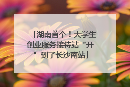 湖南首个！大学生创业服务接待站“开”到了长沙南站