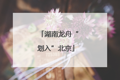 湖南龙舟“划入”北京