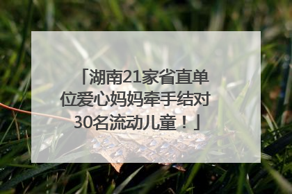 湖南21家省直单位爱心妈妈牵手结对30名流动儿童！