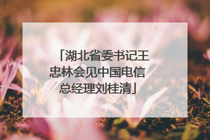 湖北省委书记王忠林会见中国电信总经理刘桂清