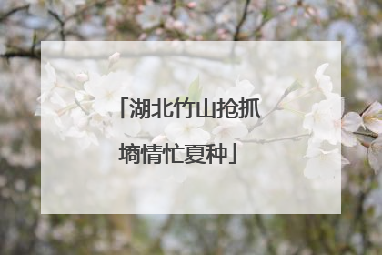 湖北竹山抢抓墒情忙夏种