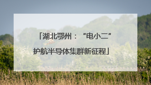 湖北鄂州：“电小二”护航半导体集群新征程