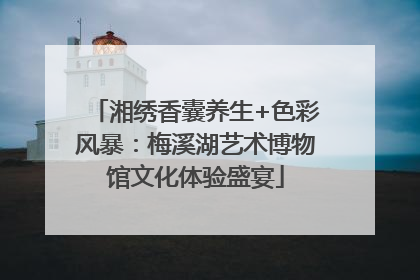 湘绣香囊养生+色彩风暴：梅溪湖艺术博物馆文化体验盛宴