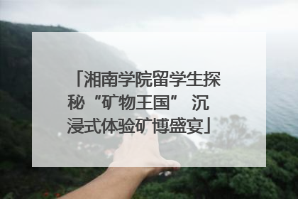 湘南学院留学生探秘“矿物王国” 沉浸式体验矿博盛宴