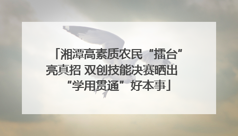 湘潭高素质农民“擂台”亮真招 双创技能决赛晒出“学用贯通”好本事