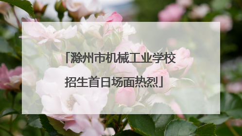 滁州市机械工业学校招生首日场面热烈