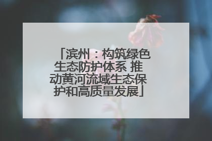滨州：构筑绿色生态防护体系 推动黄河流域生态保护和高质量发展