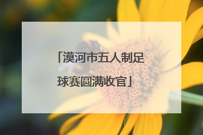 漠河市五人制足球赛圆满收官