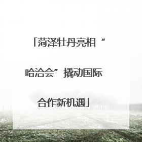 菏泽牡丹亮相“哈洽会”撬动国际合作新机遇