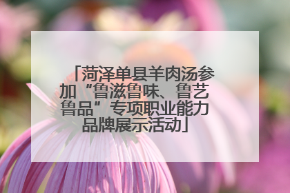 菏泽单县羊肉汤参加“鲁滋鲁味、鲁艺鲁品”专项职业能力品牌展示活动