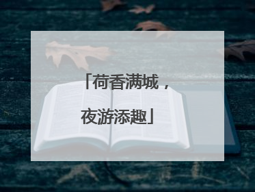 荷香满城，夜游添趣