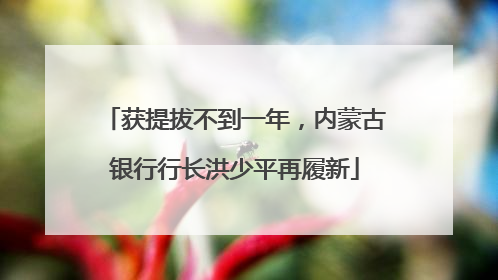 获提拔不到一年，内蒙古银行行长洪少平再履新