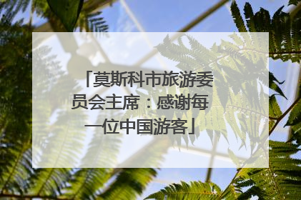 莫斯科市旅游委员会主席：感谢每一位中国游客