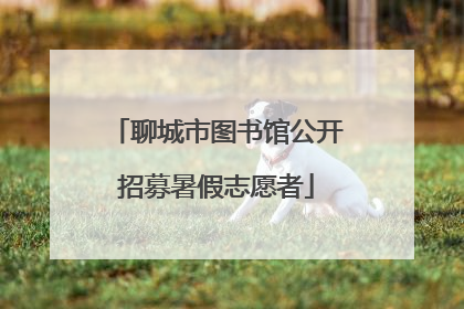 聊城市图书馆公开招募暑假志愿者