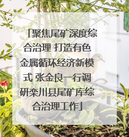 聚焦尾矿深度综合治理 打造有色金属循环经济新模式 张金良一行调研栾川县尾矿库综合治理工作