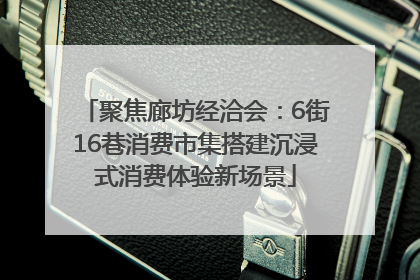 聚焦廊坊经洽会：6街16巷消费市集搭建沉浸式消费体验新场景