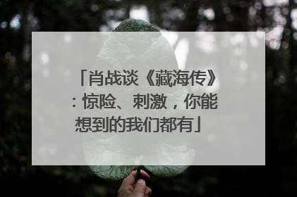 肖战谈《藏海传》：惊险、刺激，你能想到的我们都有