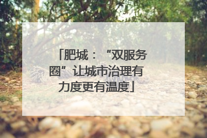 肥城：“双服务圈”让城市治理有力度更有温度