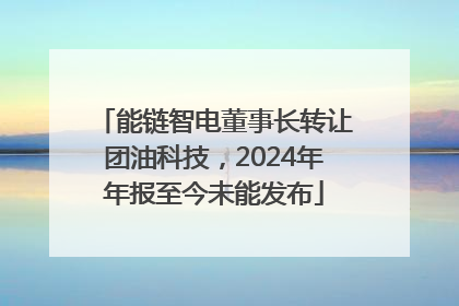 能链智电董事长转让团油科技，2024年年报至今未能发布