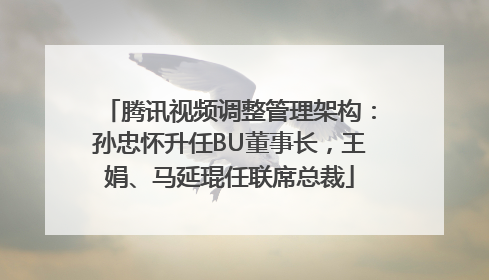 腾讯视频调整管理架构：孙忠怀升任BU董事长，王娟、马延琨任联席总裁