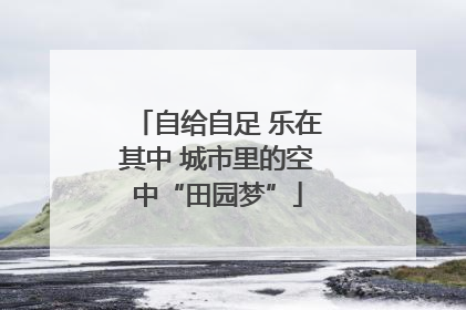 自给自足 乐在其中 城市里的空中“田园梦”