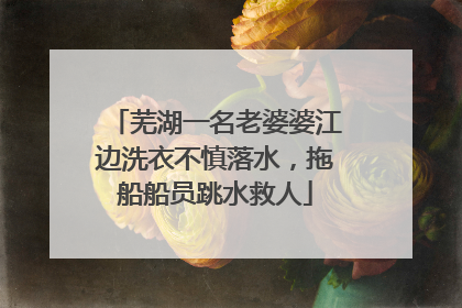 芜湖一名老婆婆江边洗衣不慎落水，拖船船员跳水救人