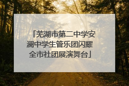 芜湖市第二中学安澜中学生管乐团闪耀全市社团展演舞台