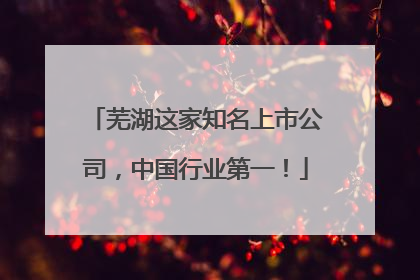 芜湖这家知名上市公司，中国行业第一！