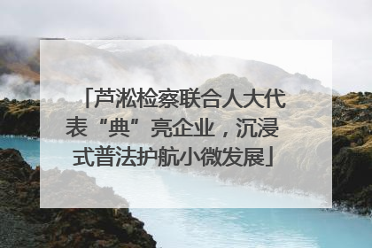芦淞检察联合人大代表“典”亮企业，沉浸式普法护航小微发展