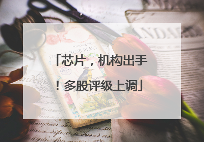 芯片，机构出手！多股评级上调