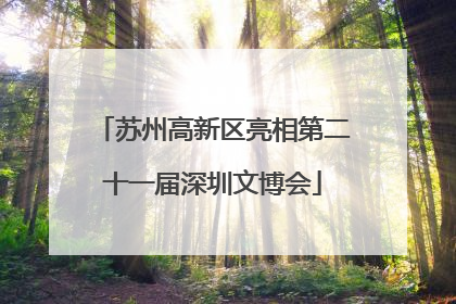 苏州高新区亮相第二十一届深圳文博会