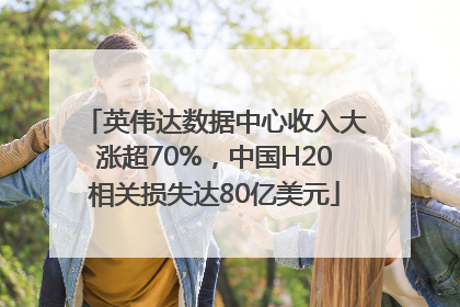 英伟达数据中心收入大涨超70%，中国H20相关损失达80亿美元