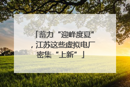 蓄力“迎峰度夏”，江苏这些虚拟电厂密集“上新”