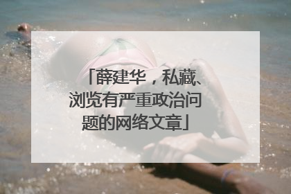 薛建华，私藏、浏览有严重政治问题的网络文章