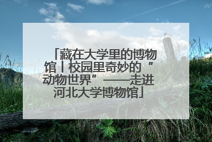 藏在大学里的博物馆丨校园里奇妙的“动物世界”——走进河北大学博物馆
