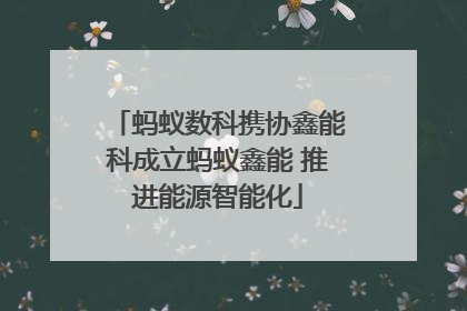 蚂蚁数科携协鑫能科成立蚂蚁鑫能 推进能源智能化
