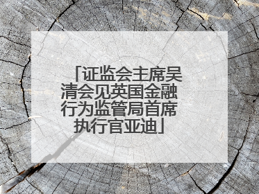 证监会主席吴清会见英国金融行为监管局首席执行官亚迪