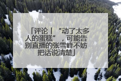 评论丨“动了太多人的蛋糕”，可能告别直播的张雪峰不妨把话说清楚