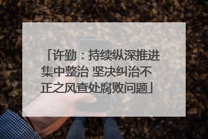 许勤：持续纵深推进集中整治 坚决纠治不正之风查处腐败问题