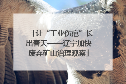 让“工业伤疤”长出春天——辽宁加快废弃矿山治理观察