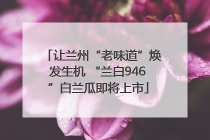 让兰州“老味道”焕发生机 “兰白946”白兰瓜即将上市