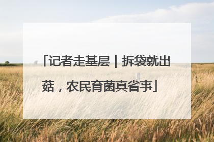 记者走基层｜拆袋就出菇，农民育菌真省事