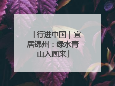 行进中国｜宜居锦州：绿水青山入画来