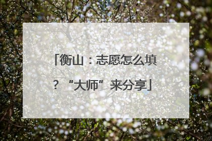 衡山：志愿怎么填？“大师”来分享