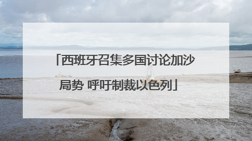 西班牙召集多国讨论加沙局势 呼吁制裁以色列