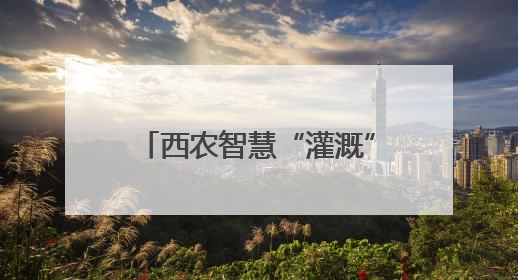 西农智慧“灌溉” 沙漠樱桃别样红