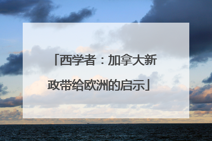 西学者：加拿大新政带给欧洲的启示