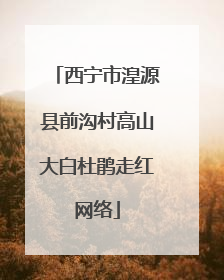 西宁市湟源县前沟村高山大白杜鹃走红网络